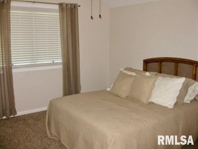 17215 N Mangold Rd, Edelstein, IL 61526 - carpeted bedroom with baseboards