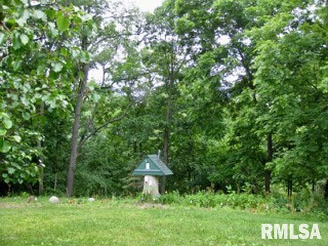 17215 N Mangold Rd, Edelstein, IL 61526 - view of yard