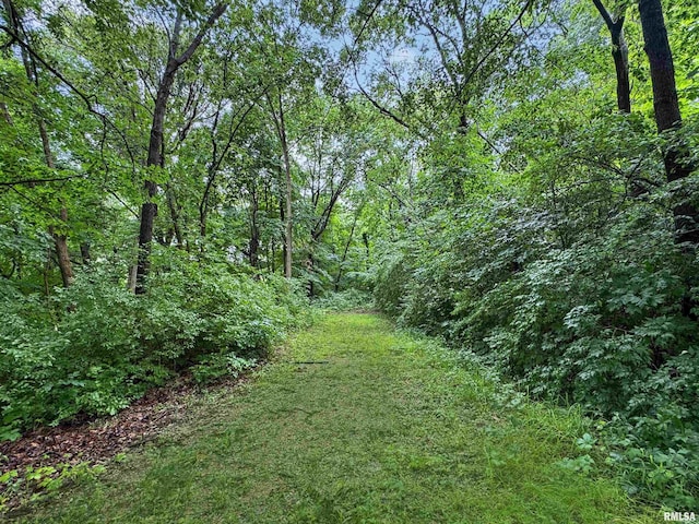 17327 W Rte 24, Glasford, IL 61533 - photo 51