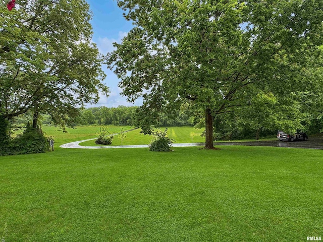 17327 W Rte 24, Glasford, IL 61533 - photo 52