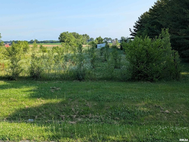 6646 Mason Rd, Manito, IL 61546 - view of yard