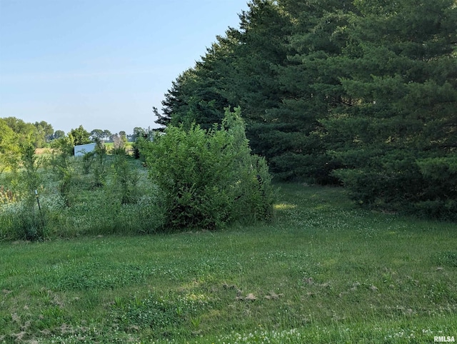 6646 Mason Rd, Manito, IL 61546 - view of undeveloped land