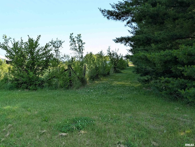 6646 Mason Rd, Manito, IL 61546 - view of local wilderness