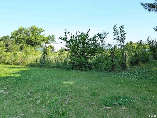 6646 Mason Rd, Manito, IL 61546 - view of yard