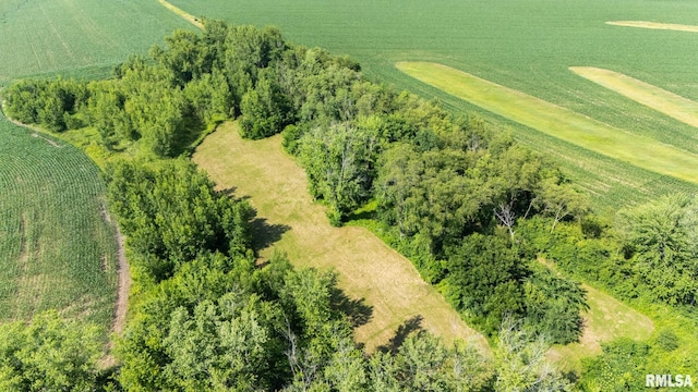21218 E County Highway 17, Canton, IL 61520 - overview of rural landscape