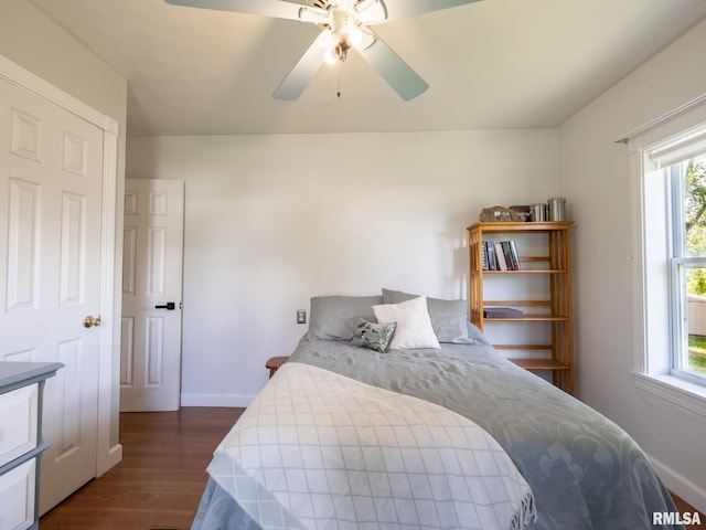 21218 E County Highway 17, Canton, IL 61520 - bedroom with dark wood-style flooring, multiple windows, and a ceiling fan