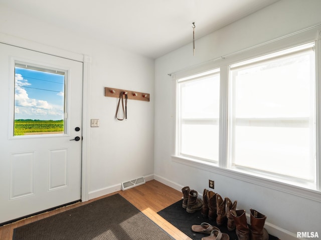 21218 E County Highway 17, Canton, IL 61520 - entryway with light wood finished floors and baseboards