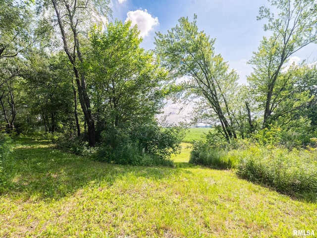21218 E County Highway 17, Canton, IL 61520 - view of undeveloped land