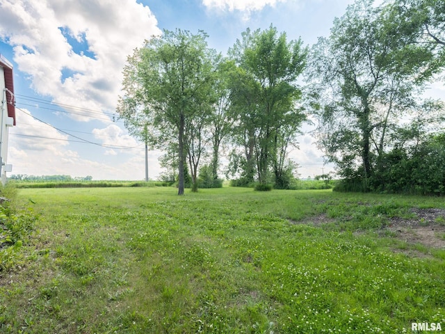 21218 E County Highway 17, Canton, IL 61520 - view of yard