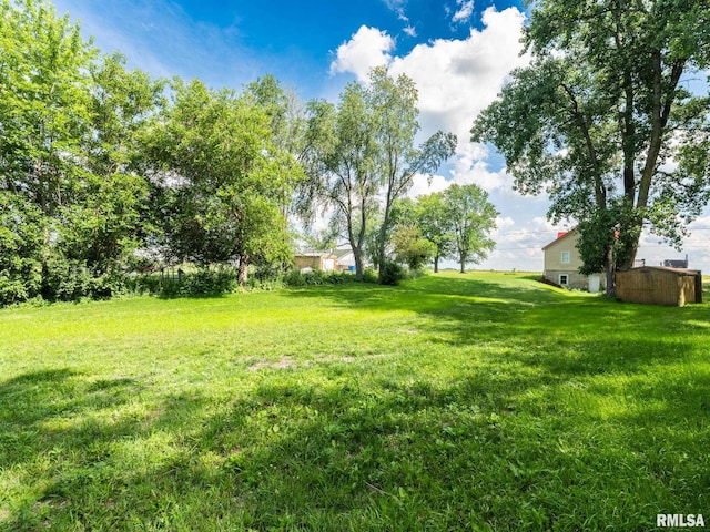 21218 E County Highway 17, Canton, IL 61520 - view of green lawn