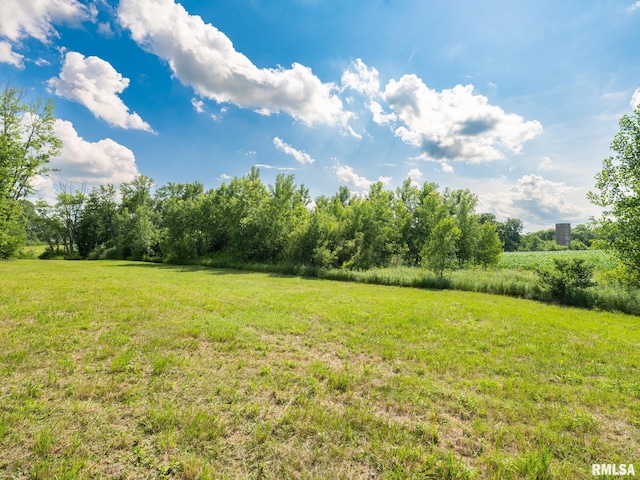 21218 E County Highway 17, Canton, IL 61520 - view of green lawn