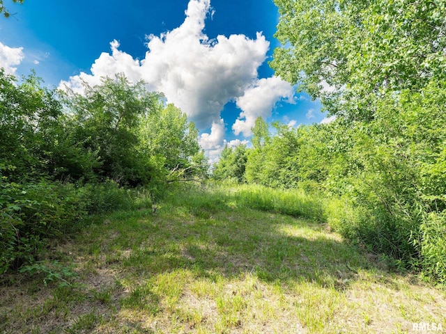 21218 E County Highway 17, Canton, IL 61520 - view of nature