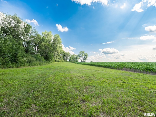 21218 E County Highway 17, Canton, IL 61520 - view of green lawn with agricultural plots and a view of rural / pastoral area