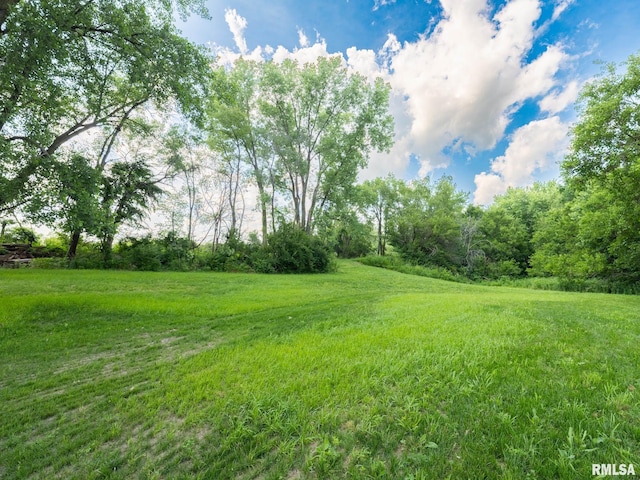 21218 E County Highway 17, Canton, IL 61520 - view of grassy yard