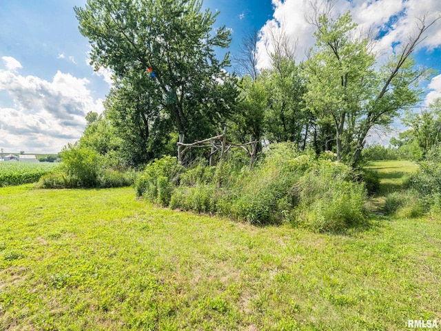 21218 E County Highway 17, Canton, IL 61520 - view of green lawn