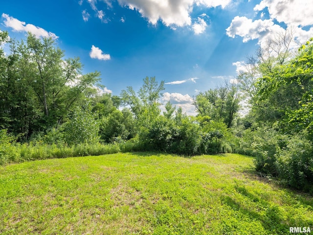 21218 E County Highway 17, Canton, IL 61520 - view of yard