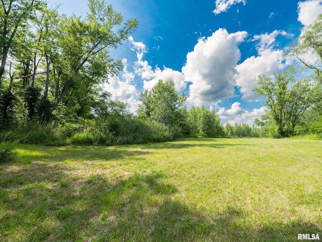 21218 E County Highway 17, Canton, IL 61520 - view of grassy yard