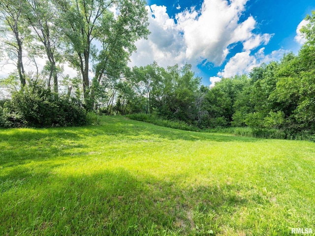 21218 E County Highway 17, Canton, IL 61520 - view of yard