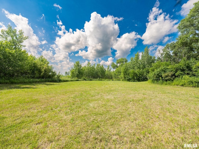 21218 E County Highway 17, Canton, IL 61520 - view of green lawn