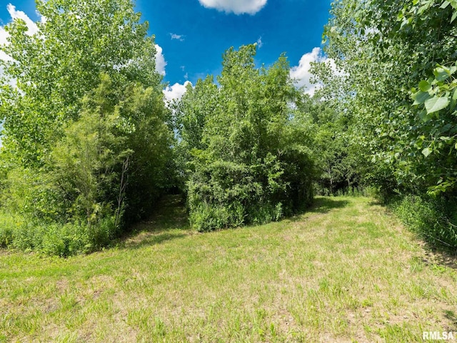 21218 E County Highway 17, Canton, IL 61520 - view of undeveloped land