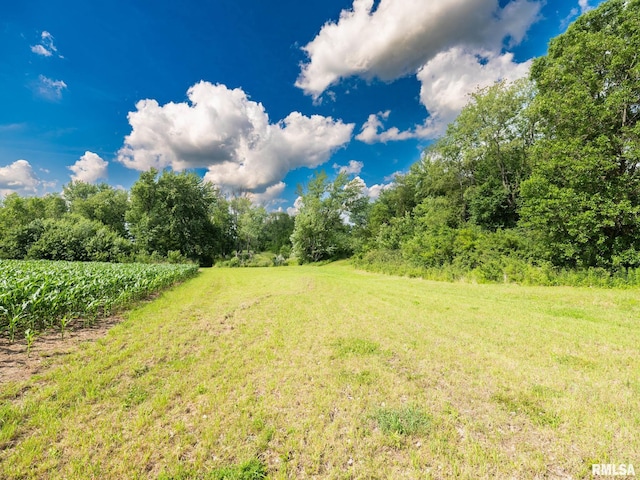 21218 E County Highway 17, Canton, IL 61520 - view of green lawn with a view of rural / pastoral area