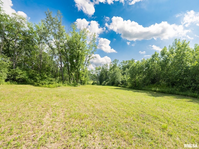 21218 E County Highway 17, Canton, IL 61520 - view of grassy yard with a wooded view
