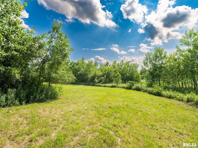 21218 E County Highway 17, Canton, IL 61520 - view of green lawn featuring a forest view