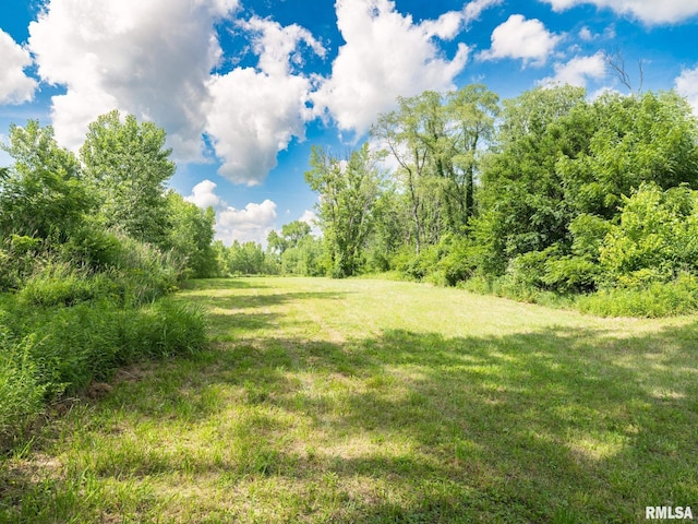 21218 E County Highway 17, Canton, IL 61520 - view of grassy yard