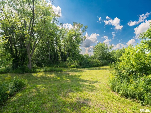 21218 E County Highway 17, Canton, IL 61520 - view of grassy yard
