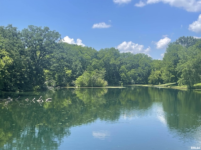5408 N Rothmere Dr, Peoria, IL 61615 - water view with a forest