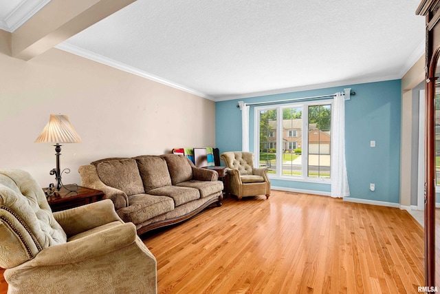 5408 N Rothmere Dr, Peoria, IL 61615 - living area featuring light wood finished floors, crown molding, and a textured ceiling