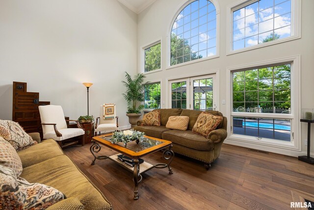 88 Waldheim Rd, Morton, IL 61550 - living area featuring hardwood / wood-style floors, a towering ceiling, and ornamental molding