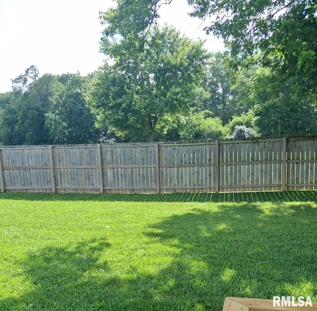 751 N 3rd St, Cuba, IL 61427 - view of fenced backyard