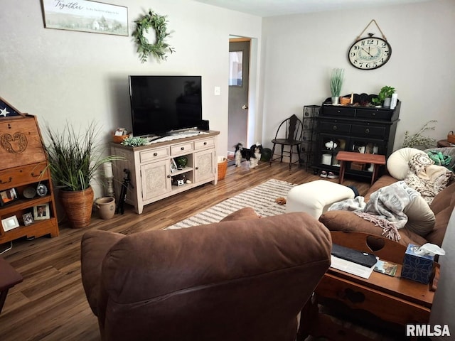 751 N 3rd St, Cuba, IL 61427 - living room with wood finished floors