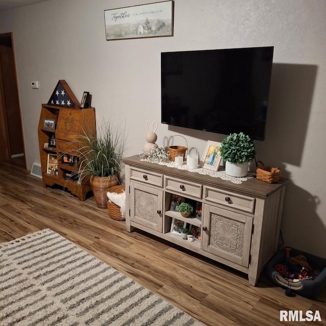 751 N 3rd St, Cuba, IL 61427 - living room with light wood-style flooring