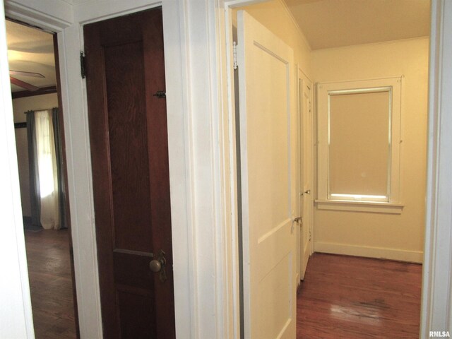 1027 E Maywood Ave, Peoria, IL 61603 - photo 21