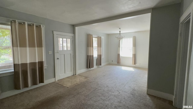 1009 W Armstrong Ave, Peoria, IL 61606 - foyer featuring carpet floors and plenty of natural light