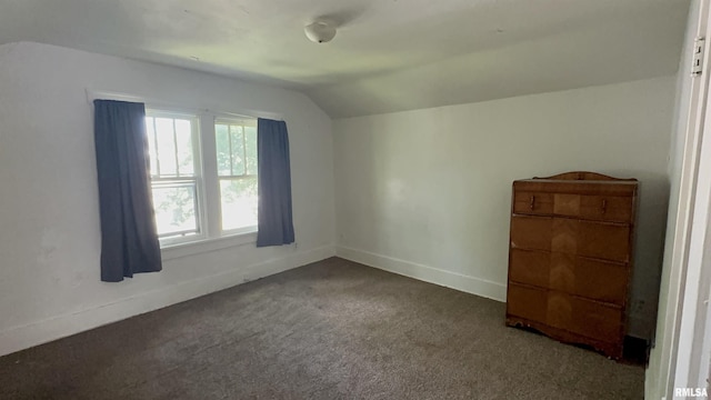 1009 W Armstrong Ave, Peoria, IL 61606 - bonus room featuring vaulted ceiling, healthy amount of natural light, and carpet