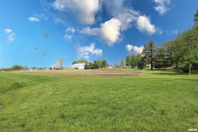 201 Willa Ln, Washington, IL 61571 - view of green lawn with a rural view