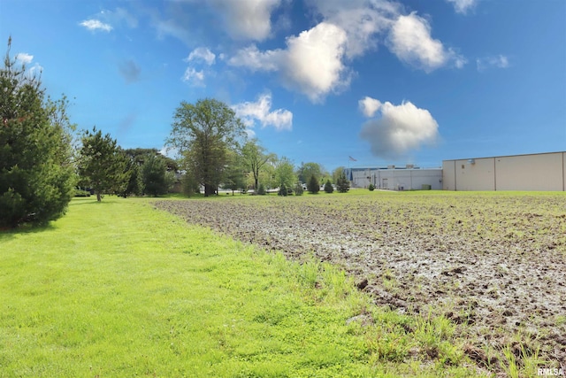 201 Willa Ln, Washington, IL 61571 - view of grassy yard