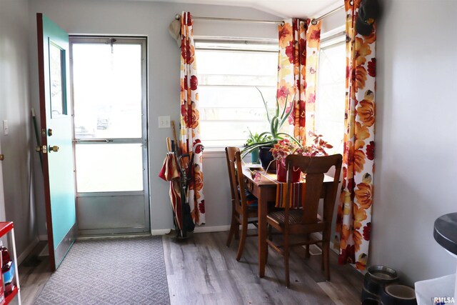 201 Willa Ln, Washington, IL 61571 - dining room featuring wood finished floors and baseboards