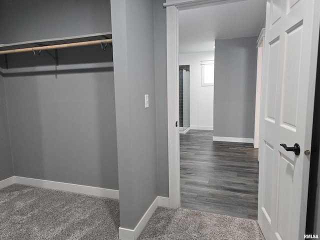 102 Conch Dr, La Harpe, IL 61450 - view of closet