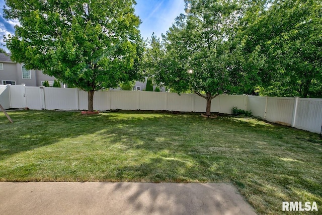 1508 W Meadowview Dr, Dunlap, IL 61525 - view of fenced backyard