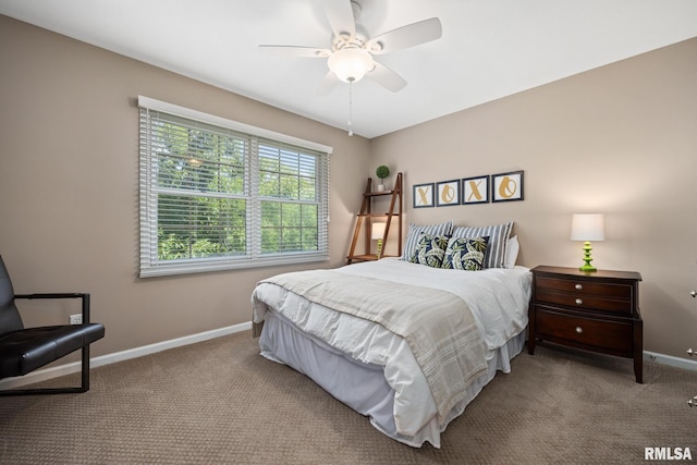 11 Lahood Ln, Washington, IL 61571 - bedroom with carpet floors and ceiling fan