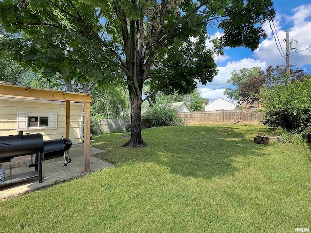 1506 S Capitol St, Pekin, IL 61554 - view of fenced backyard