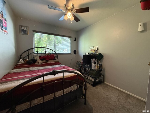 5807 N Andover Ct, Peoria, IL 61615 - photo 14