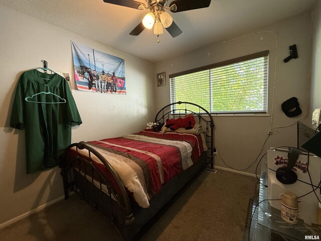5807 N Andover Ct, Peoria, IL 61615 - photo 15