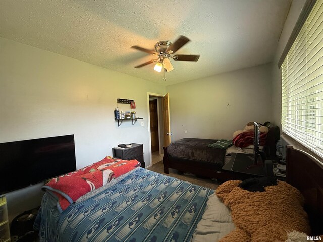 5807 N Andover Ct, Peoria, IL 61615 - photo 19