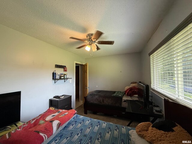 5807 N Andover Ct, Peoria, IL 61615 - photo 20
