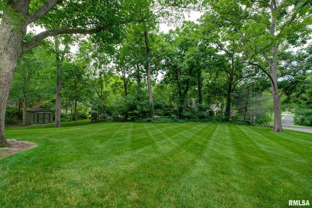 512 Hidden Ln, Peoria, IL 61614 - view of green lawn with a storage unit